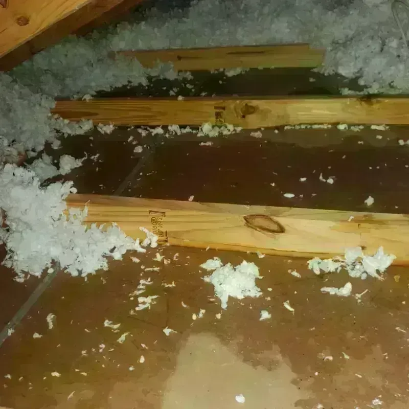 Attic Water Damage in Lake Isabella, MI