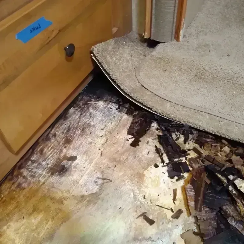 Wood Floor Water Damage in Lake Isabella, MI